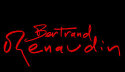 Bertrand Renaudin - musicien de jazz